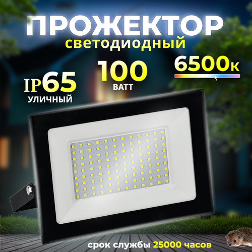 Прожектор светодиодный уличный 100 Вт 6500К IP65