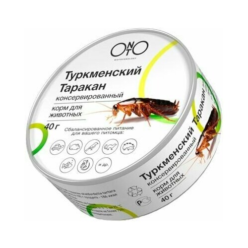 ONTO Туркменский таракан консервированный 40г