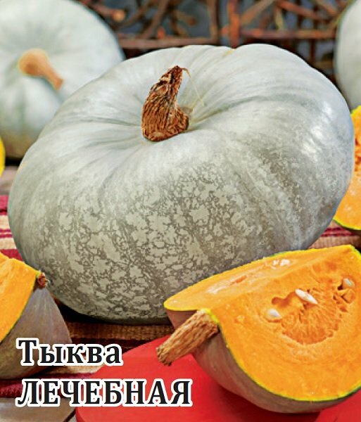 Семена Тыква Лечебная 100г Гавриш Фермерское подворье