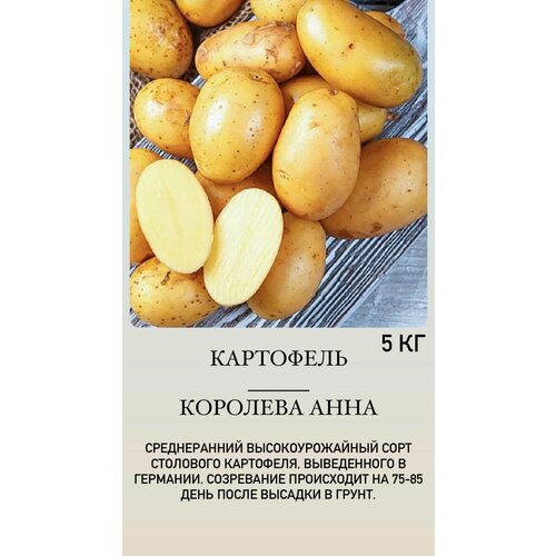 золотистый, золотой