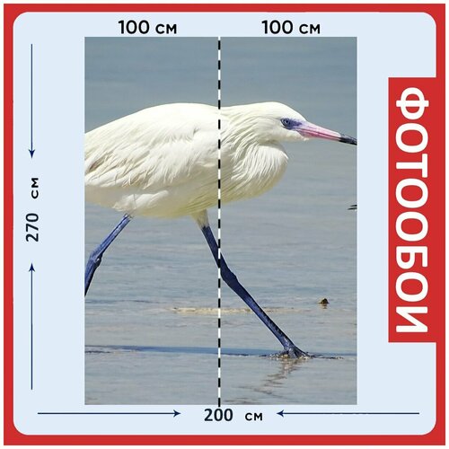 Фотообои Пляж остров белый канкун 200x270 см флизелиновыена стену 2970₽