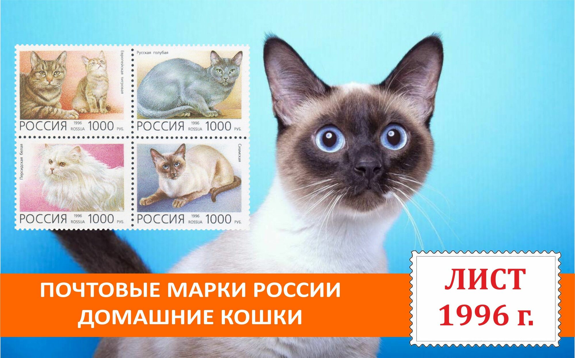 Почтовые марки России. Фауна. Домашние кошки. Лист 1996 года выпуска.