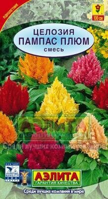 Семена Аэлита 