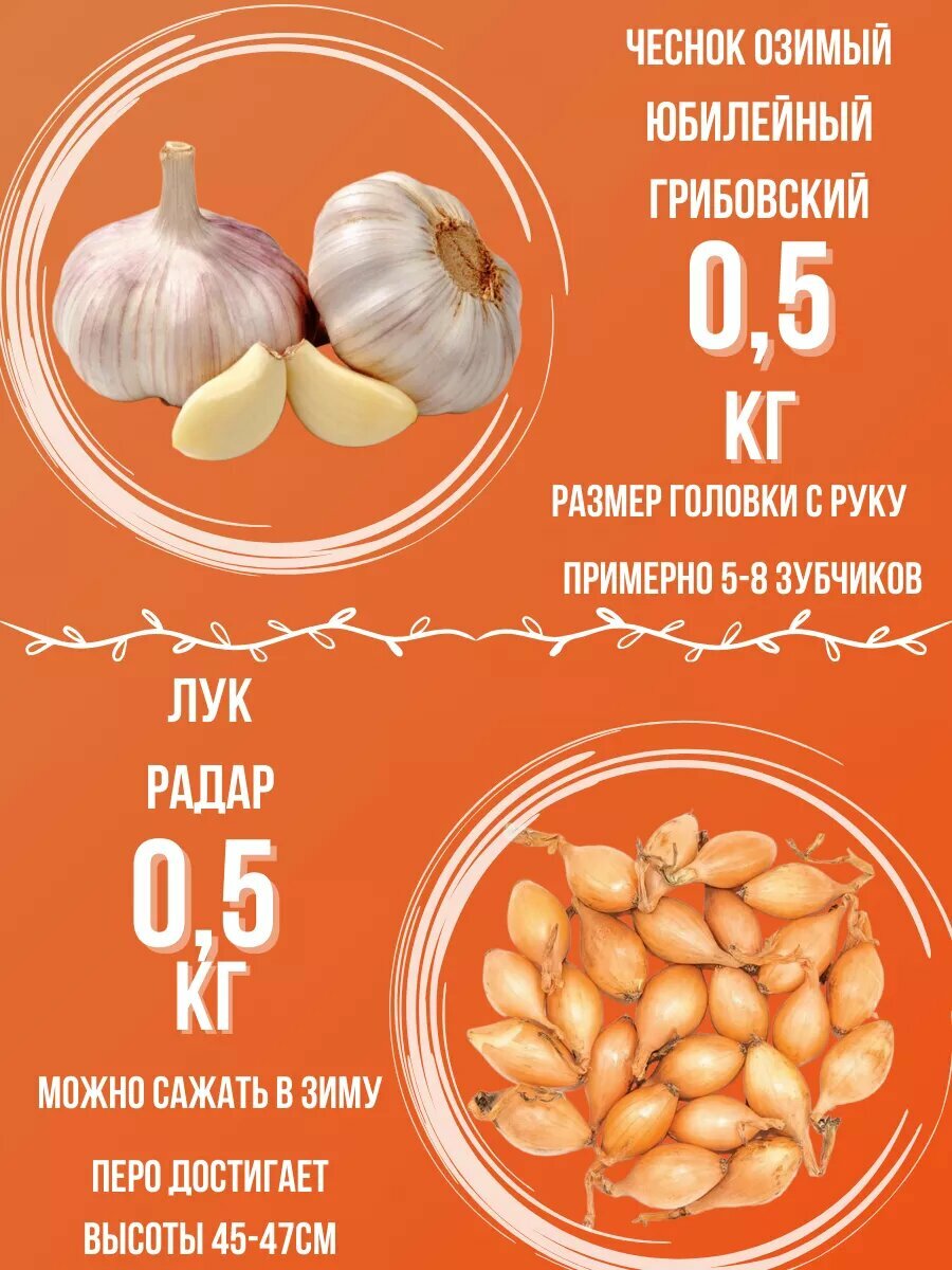Набор Чеснок Озимый и ЛукРадар 0.5 кг