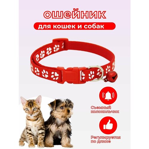Ошейник для кошек и мелких пород собак , универсальный , красный