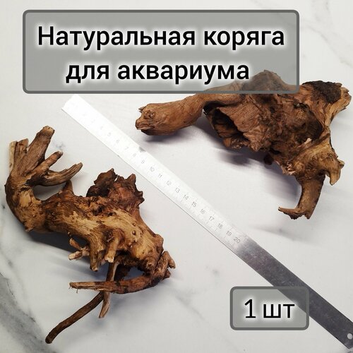 Натуральная коряга для аквариума 15-20 см (1 шт)