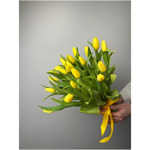 Букет Тюльпан жёлтый, свежий, 25 шт, 40 см под бант