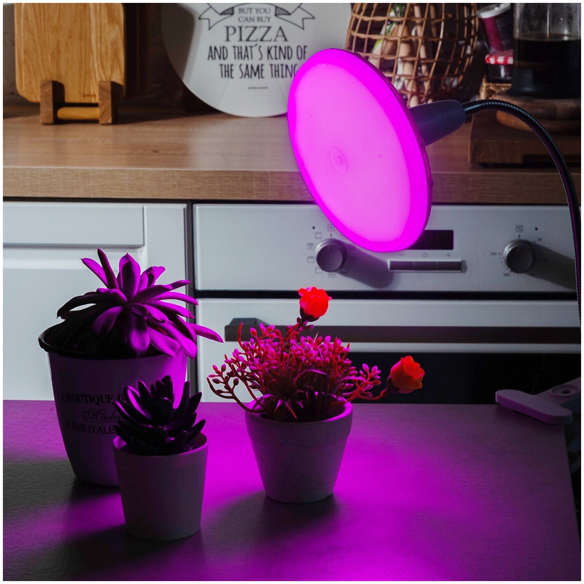 Фито лампа Uniel светодиодная для растений рассады цветов UFO E27 16W 18мкм/с, матовая/пластик 150x78 LED-U150-16W/SPSB/E27/FR - фотография № 3