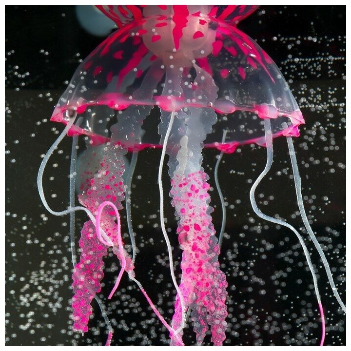 Декор для аквариума "Медуза" силиконовая, с неоновым эффектом, 10 х 10 х 20,5 см, розовая 7108871 - фотография № 3