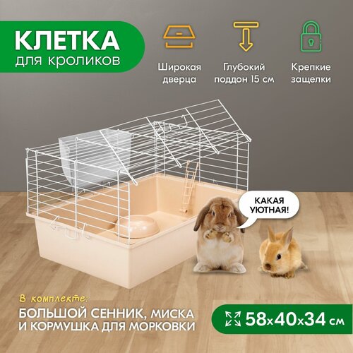 Клетка для кроликов PetTails №1 складная, шаг прута до 25мм, 58*40*h34см (+миска, 2 кормушки) беж-бел клетка для кроликов pettails 2 складная шаг прута до 20мм 58см 40см h32 5см беж бел