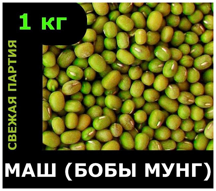 Маш (Узбекистан), свежий урожай, 1 кг