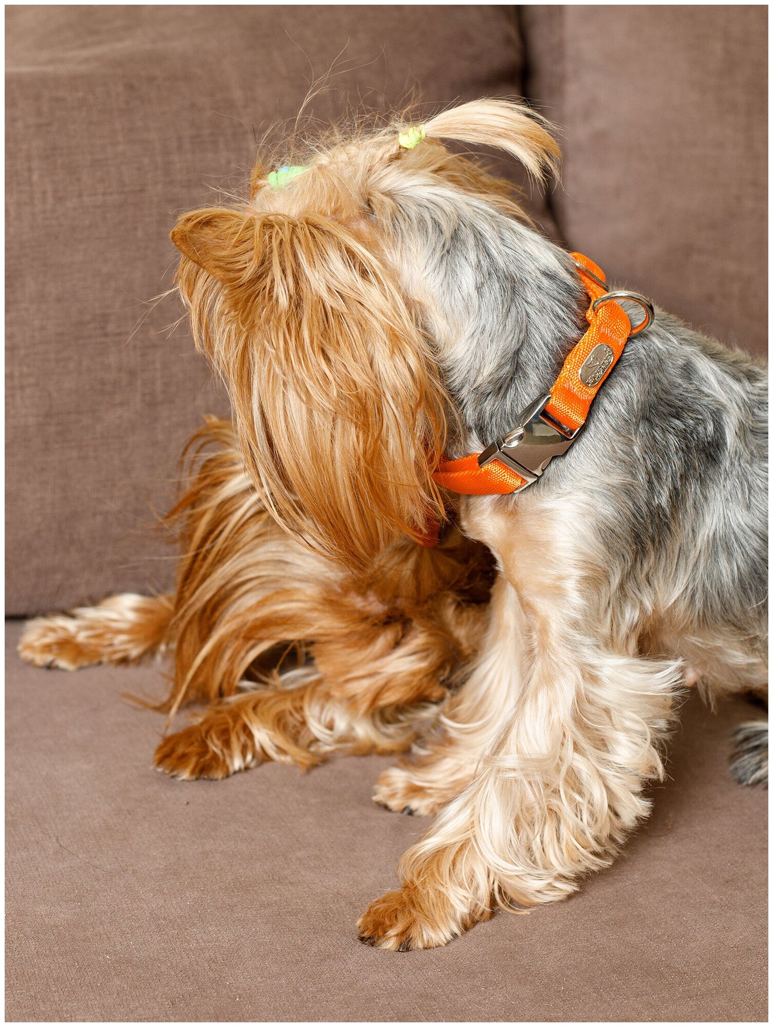 Воздушный ошейник Japan Premium Pet для активных и серьёзных собак, размер S (цвет: оранжевый) - фотография № 4