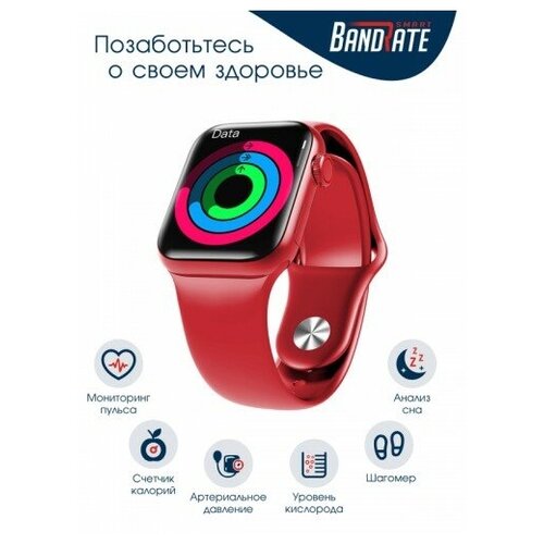 BandRate Smart BRSHW16SGR 680000₽