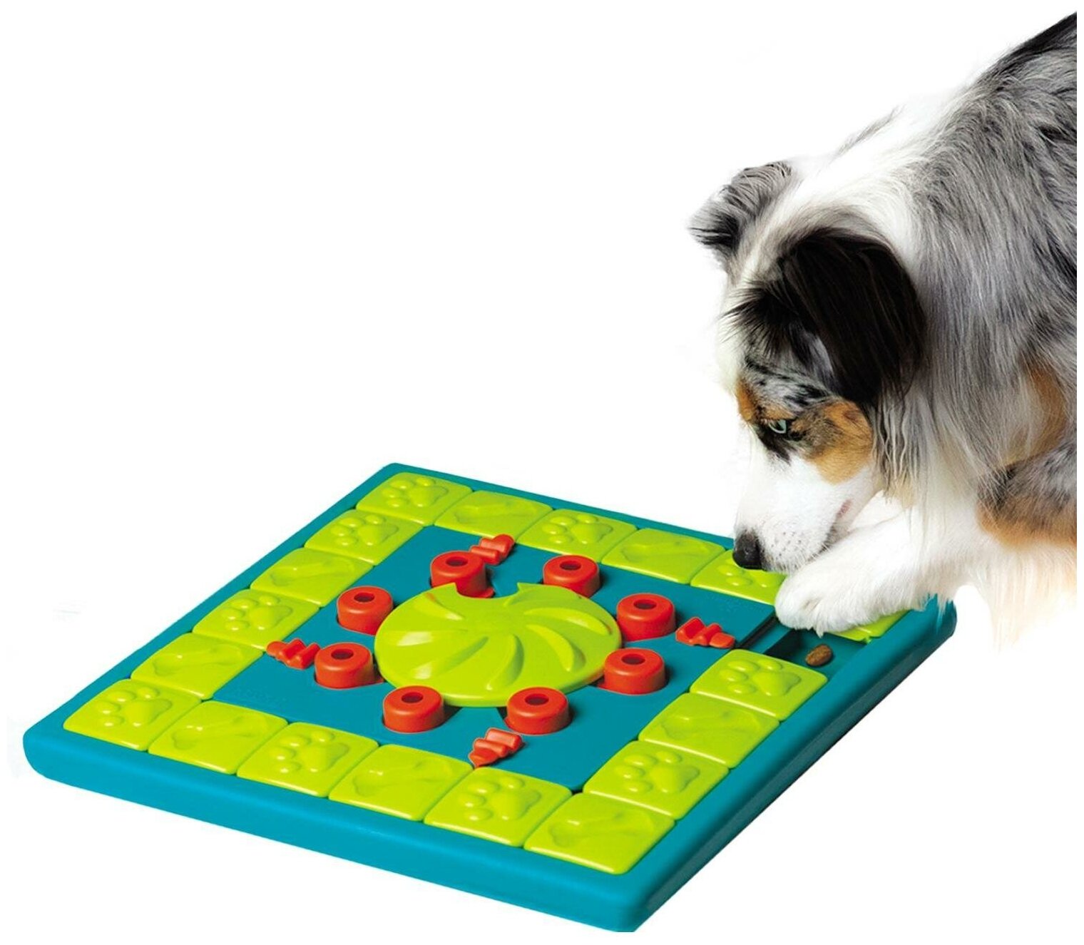 Nina Ottosson игра-головоломка для собак Multipuzzle, 4 (эксперт) уровень сложности - фотография № 5