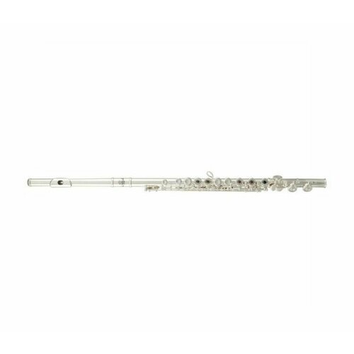 ROY BENSON FL-402R флейта (открытые клапана в линию) флейта roy benson fl 602e