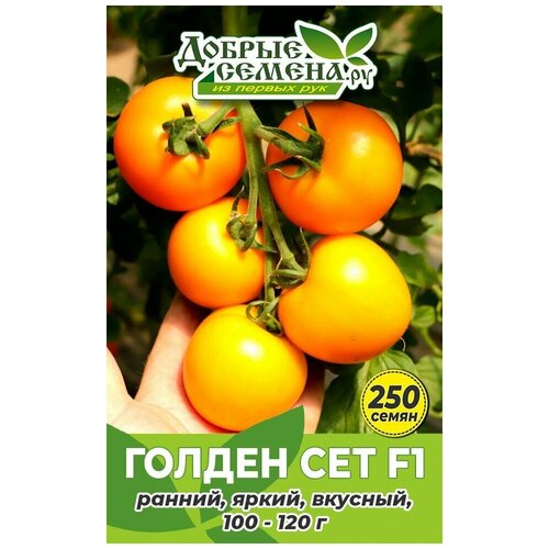 Семена томата Голден Сет F1 - 250 шт - Добрые Семена. ру