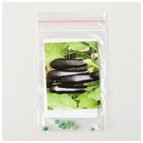 Семена Баклажан 