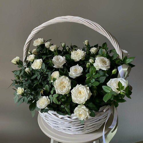 Изображение товара Авторская корзина с белыми пышными, цветущими розами, размер L. Veresk 617