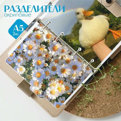 Разделители для тетради на кольцах утка ромашка лето 300₽
