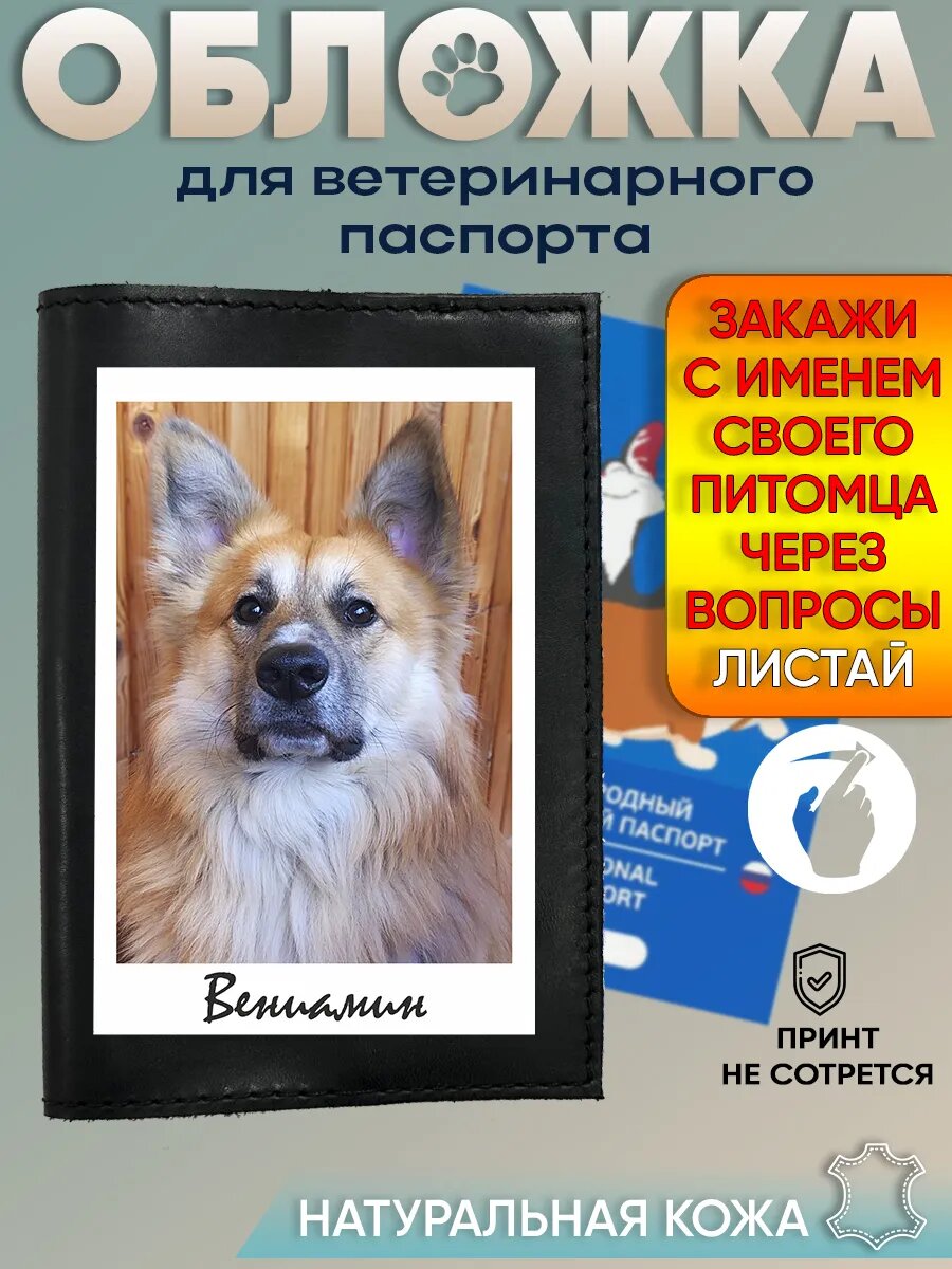 Обложка RenBel
