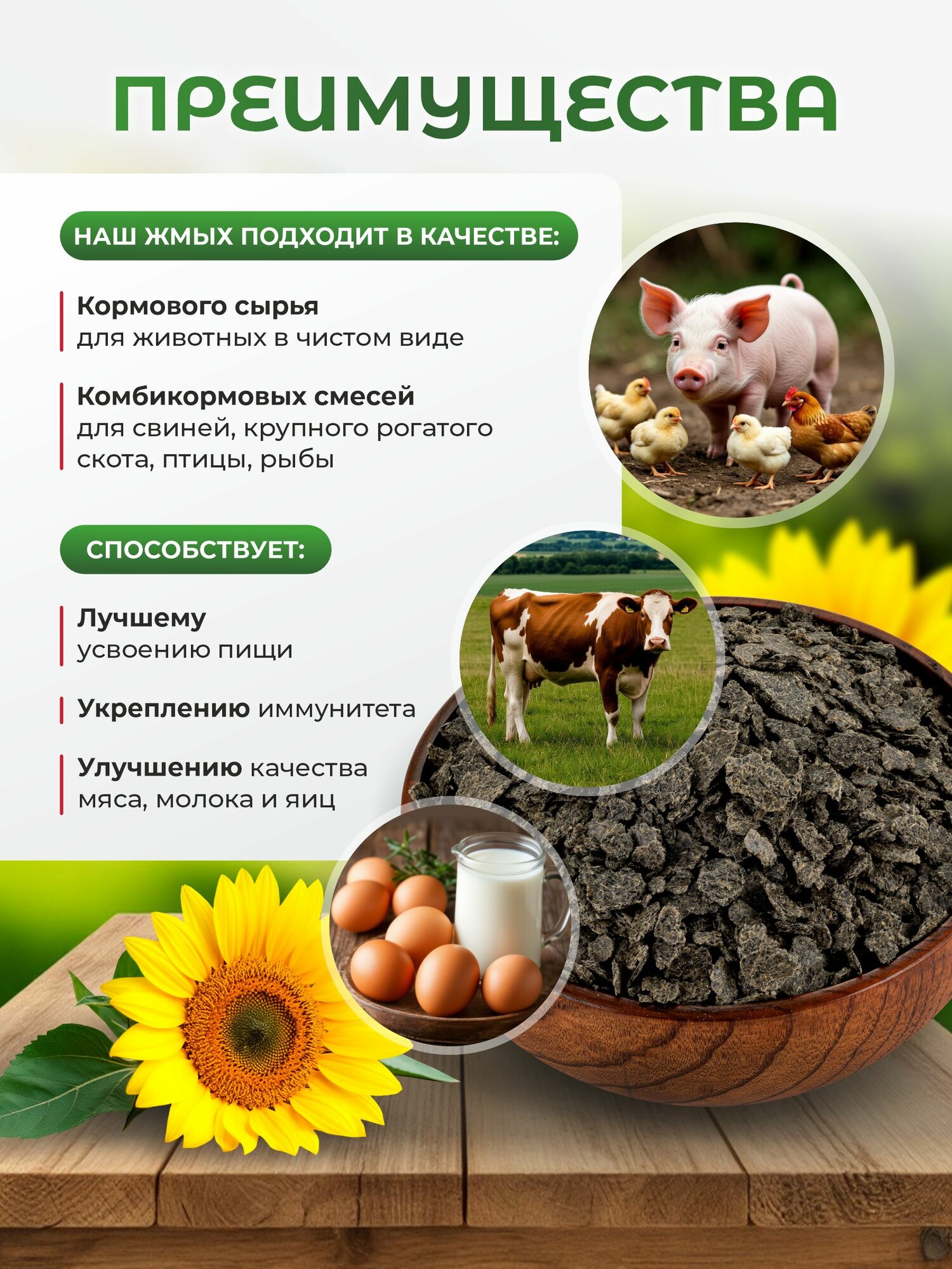Жмых подсолнечника для корма кур несушек, куриц, птиц, домашнего скота / Макуха для рыбалки — фото 1