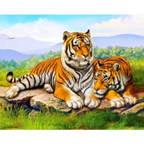Картина по номерам Тигр и тигрица 40х50 см Art Hobby Home