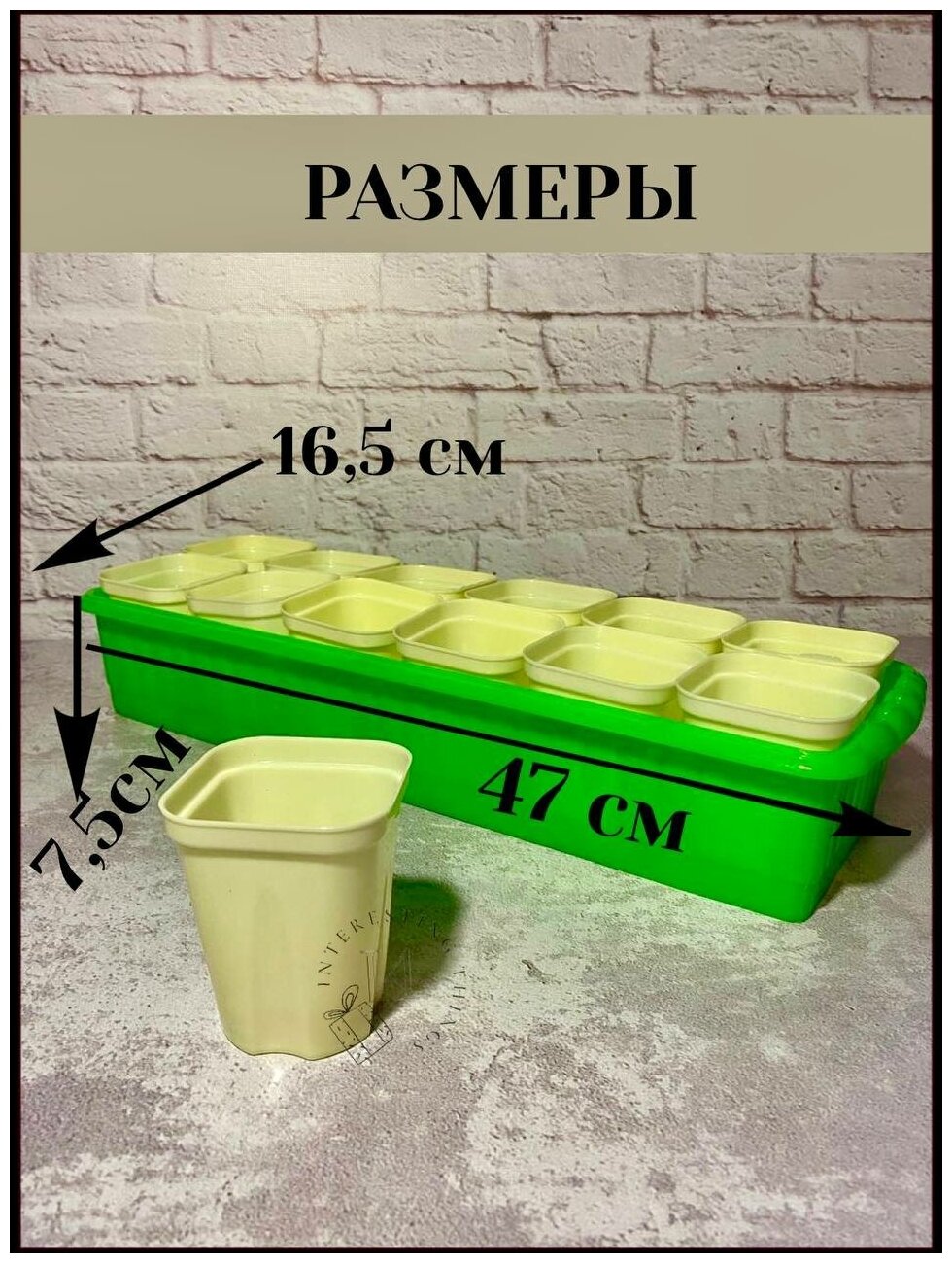 Рассадник, горшочки для рассады 250 мл, 24 шт, 2 ящика, стаканчики со съемным дном, многоразовые - фотография № 2