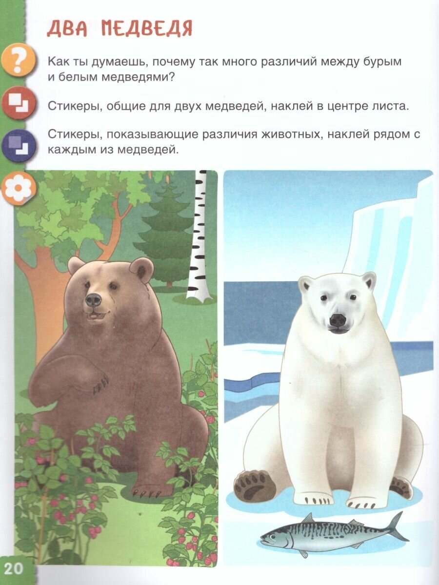 Тимофеева. Удивительное рядом. Ребёнок и окружающий мир. Альбом наблюдений. 5-6 лет - фото №7