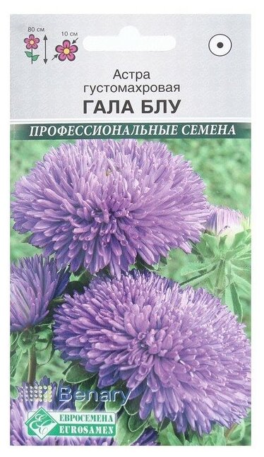 Семена Цветов Астра густомахровая Гала Блу 10 шт