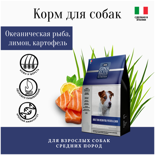 Gina корм для взрослых собак с океанической рыбой, картофелем и лимоном (grain free adult dog ocean fish,potato&lemon)