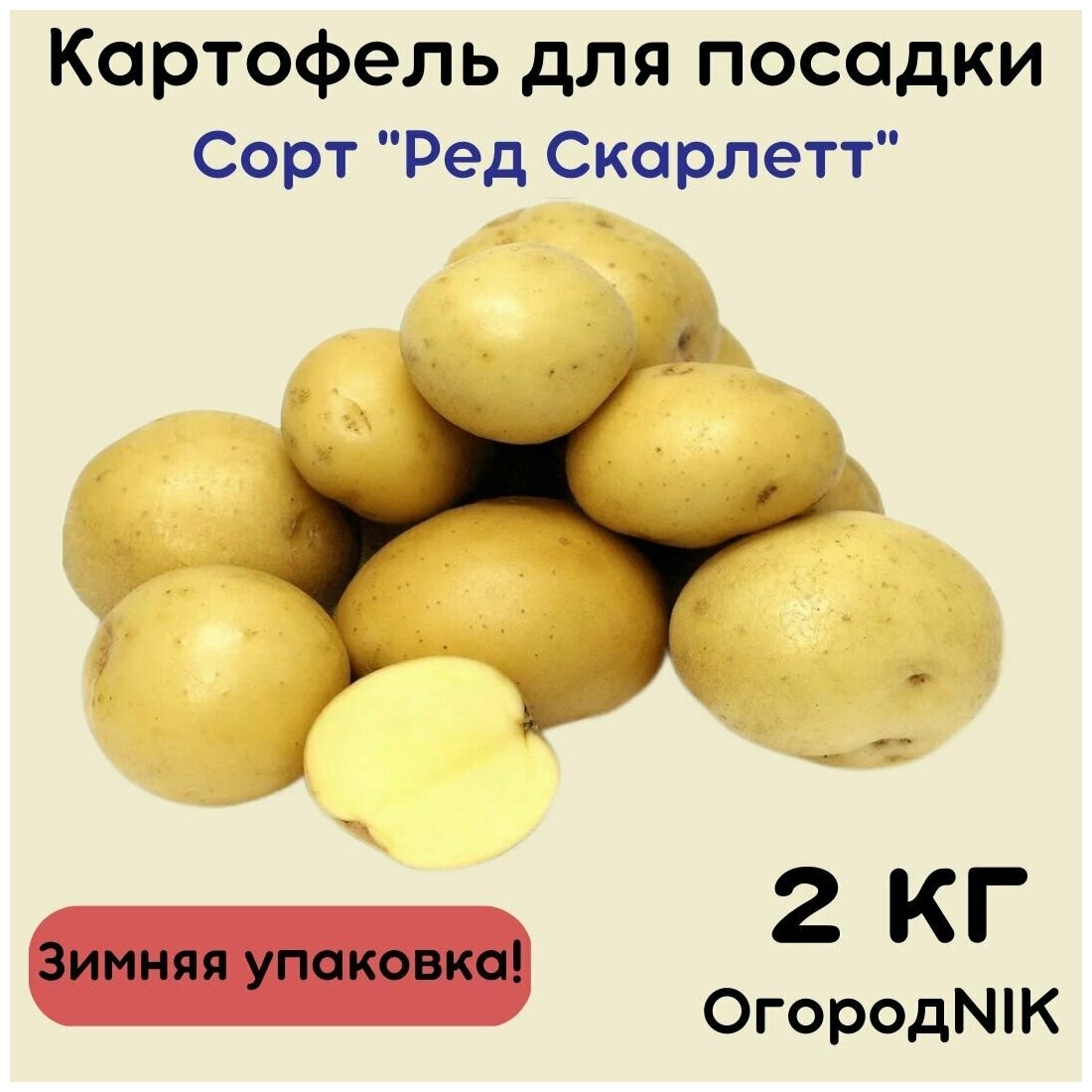 Картофель семенной "Ред Скарлетт"