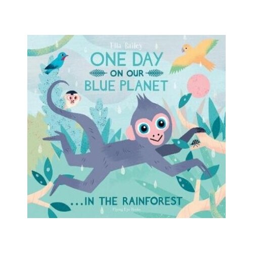 One Day on our Blue Planet. In the Rainforest