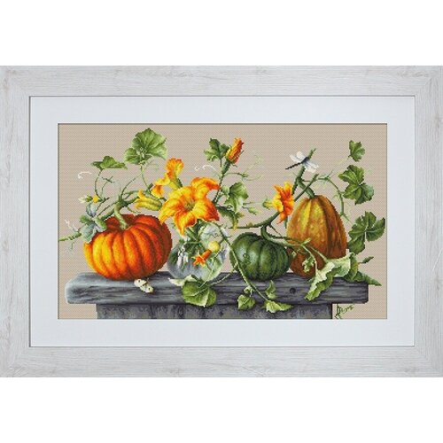Набор для вышивания крестом Luca-S Тыква, 46,5х27 см (LUCA. B2303)