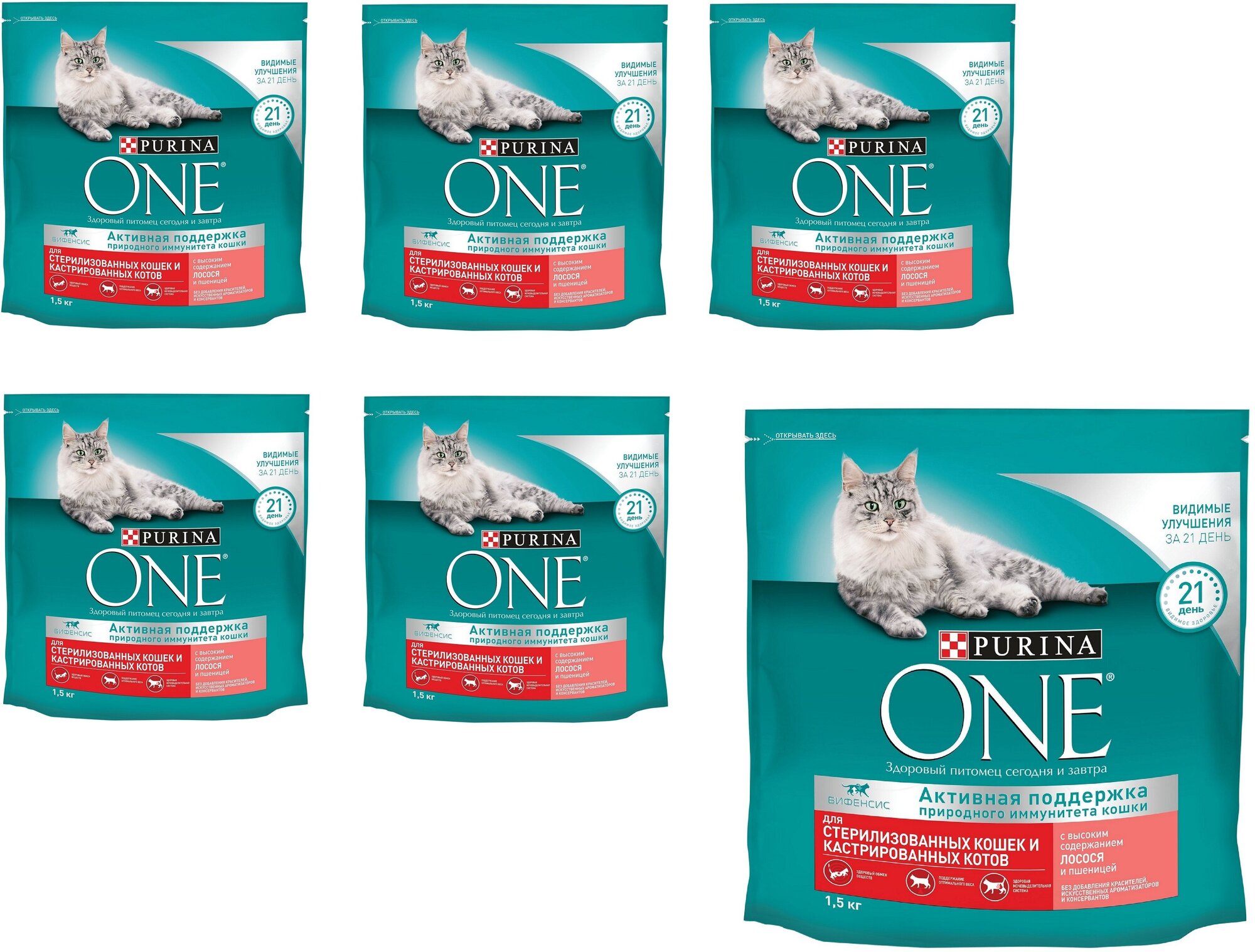 Сухой корм Purina ONE для стерилизованных кошек и котов с лососем и пшеницей, пакет, 1,5 кг, 6 шт - фотография № 1