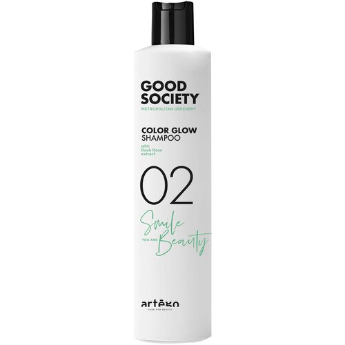 Шампунь для волос для окрашенных волос Artego Good Society 02 Color Glow Shampoo 250 мл