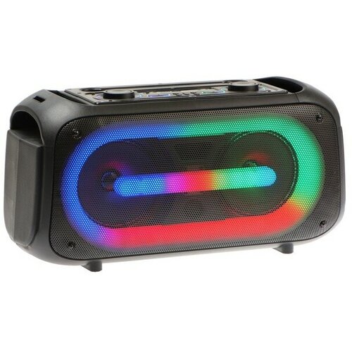 Портативная колонка Dance Box 200 25 Вт FM BT microSD AUX подсветка микрофон 1055300₽