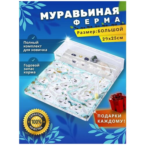 Большая муравьиная ферма максимальный комплект