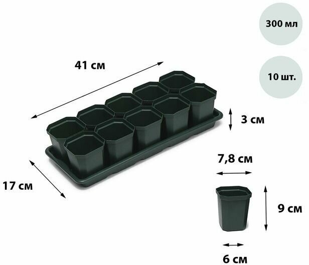 Набор для рассады 10 стаканов 300 мл 410х170х95 цветной м1010 (А) - фотография № 3