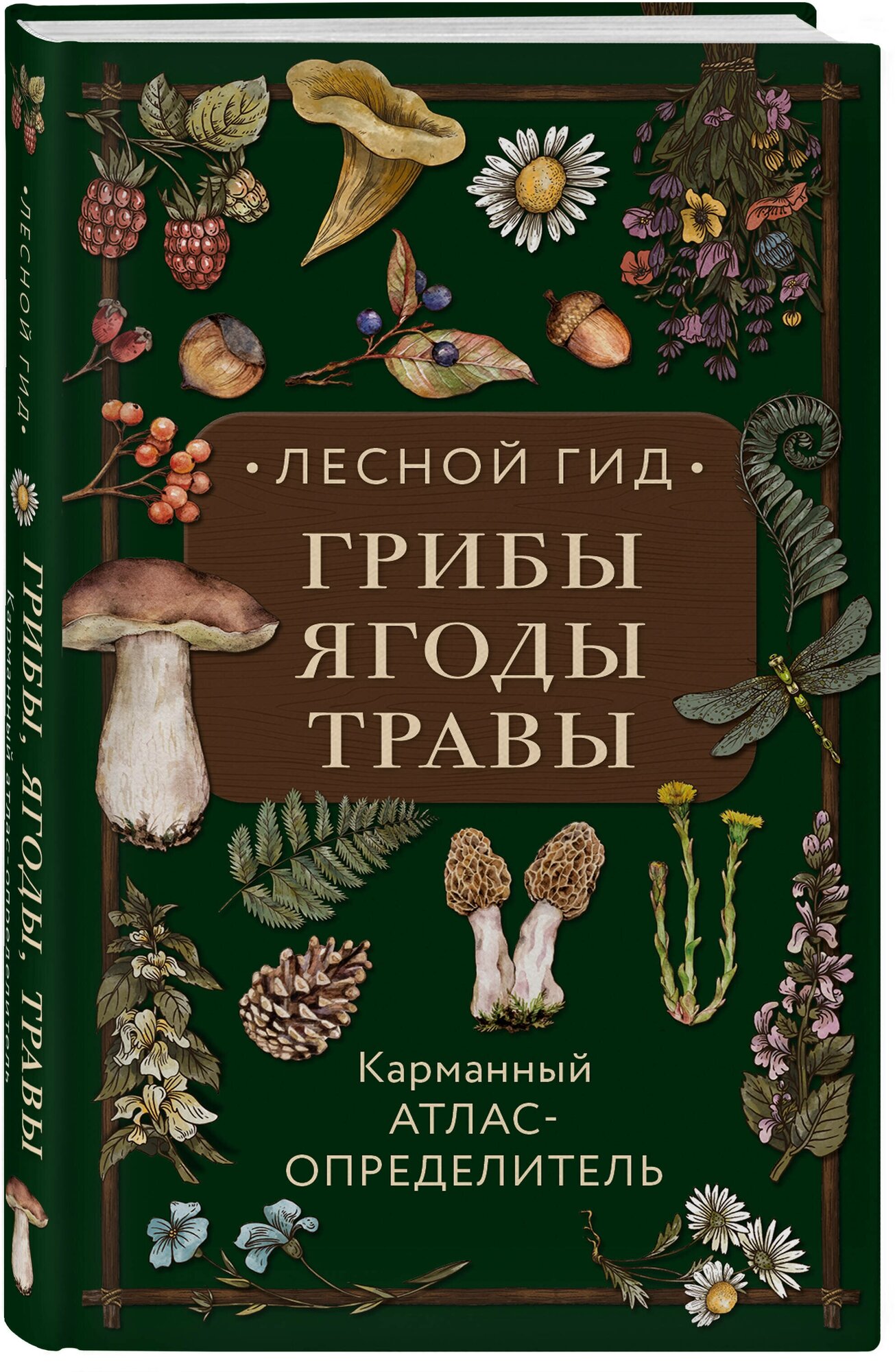 Лесной гид Грибы ягоды травы Книга Гуськова М 12+