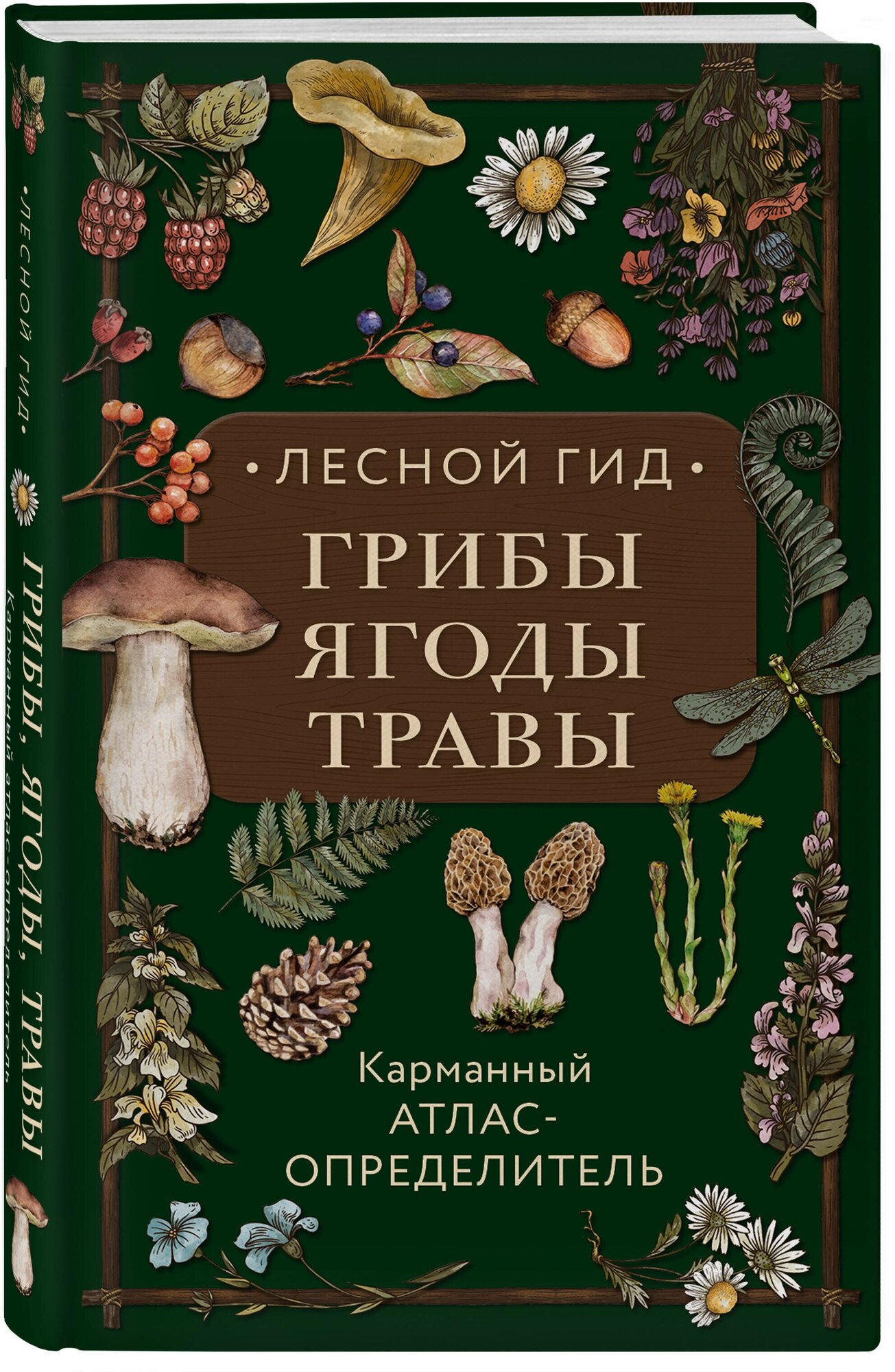 Семенова Л. С. Лесной гид: грибы, ягоды, травы. Карманный атлас-определитель