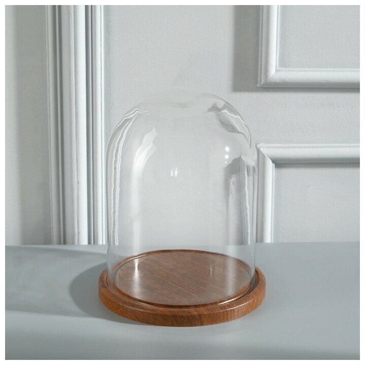 фото Стеклянный купол-клош на деревянной подставке "Венсан - 1", 20х15 см, коричневый