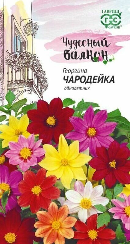 Семена Георгина «Гавриш» Чародейка смесь, 0,3 г - фото №1