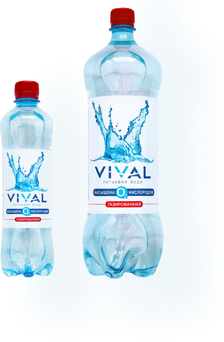 Vival (Газированная), 0,5 л, упаковка 12 штук
