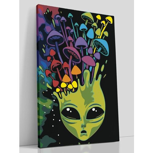 Картина по номерам на холсте с подрамником, Космос, инопланетяне, звезды, 40х60 см филипс х ред арт студия раскрасим великие картины