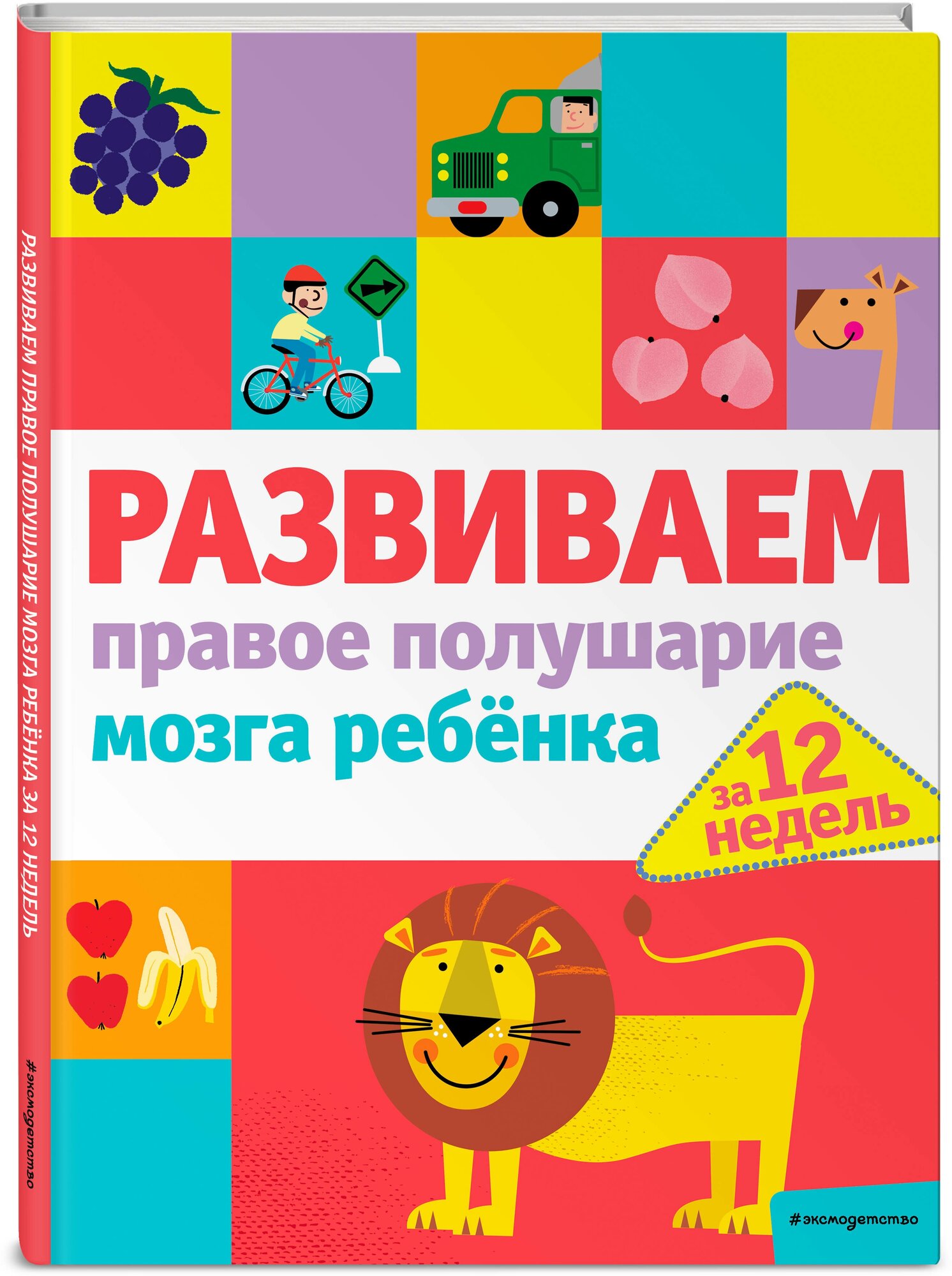 Развиваем правое полушарие мозга ребенка за 12 недель