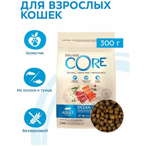 Wellness Core сухой корм для взрослых кошек с лососем и тунцом 300 г 10714