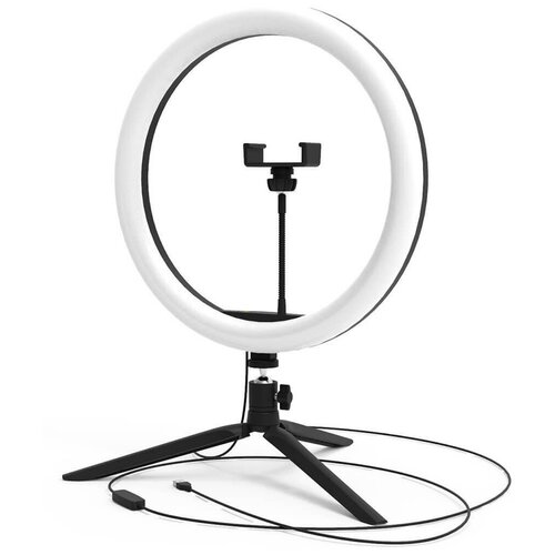 Кольцевой светодиодный светильник Gauss Ring Light RL003 261000₽