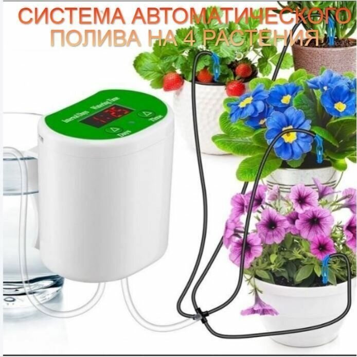 Автополив для 4 растений автоматический полив комнатных растений капельный
