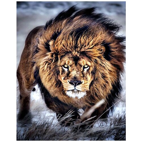 Картина по номерам Мощь льва 40х50 см