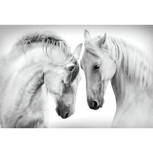 Фотообои DeliceDecor Лошадь И 801 400х270см
